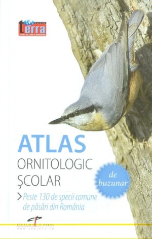 Atlas ornitologic scolar de buzunar. Peste 130 de specii comune de pasari din Romania