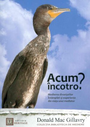 Acum incotro? Medierea divorturilor: intamplari si experiente din viata unui mediator - carte si CD