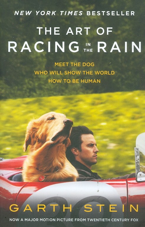 The Art of Racing in the Rain
