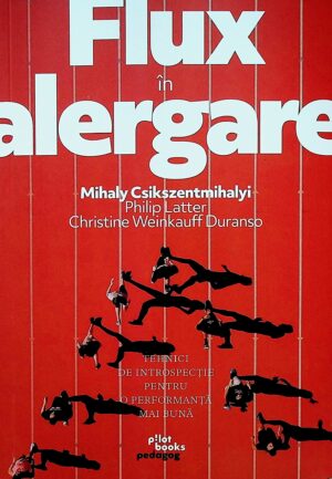 Flux in alergare. Tehnici de introspectie pentru o performanta mai buna