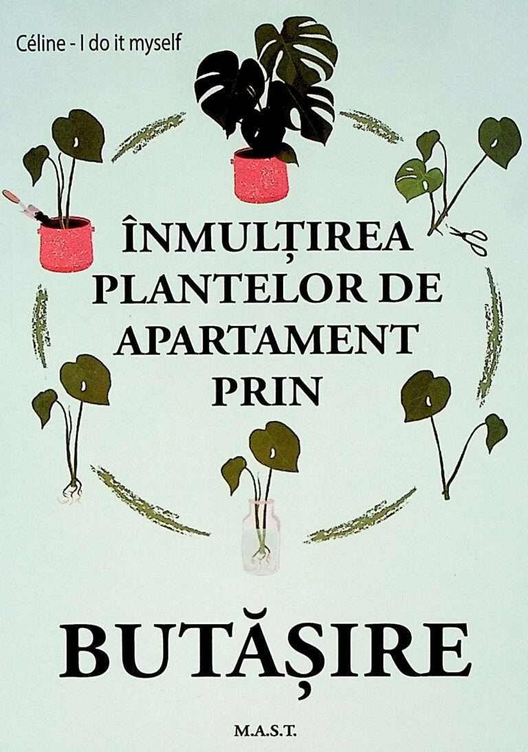 Inmultirea plantelor de apartament prin butasire