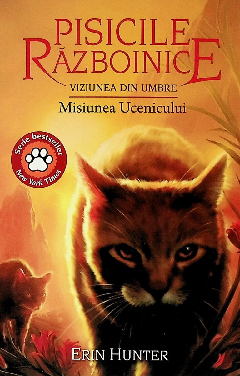 Pisicile razboinice, vol. XXXI - Viziunea din umbra. Misiunea ucenicului