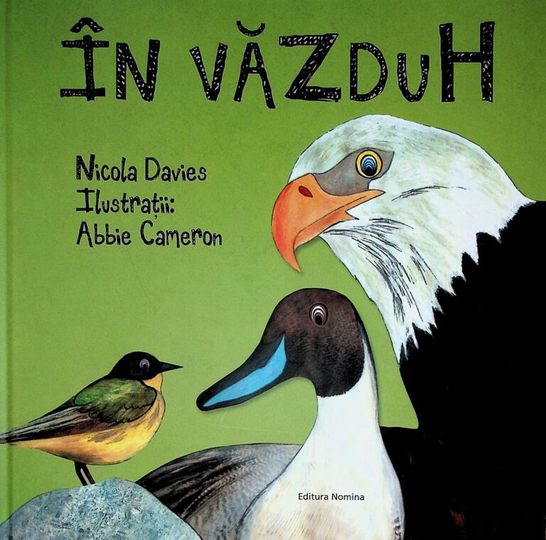 In vazduh