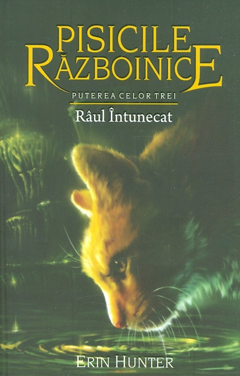 Pisicile razboinice, vol. XIV - Puterea celor trei. Raul intunecat