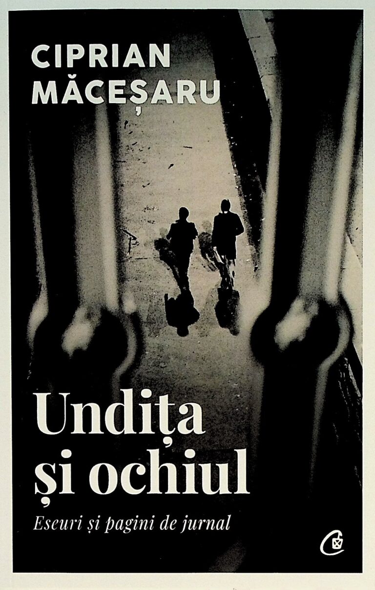 Undita si ochiul. Eseuri si pagini de jurnal