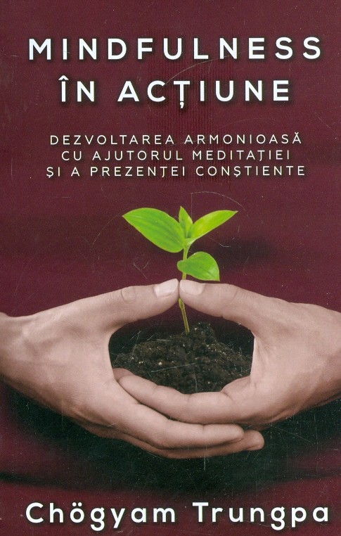 Mindfulness in actiune. Dezvoltarea armonioasa cu ajutorul meditatiei si a prezentei constiente
