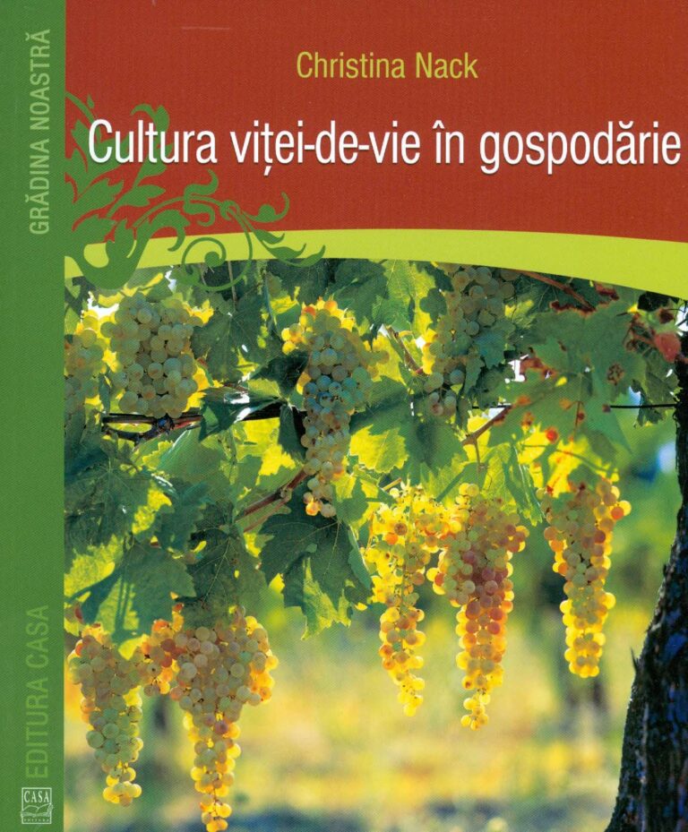 Cultura vitei-de-vie in gospodarie
