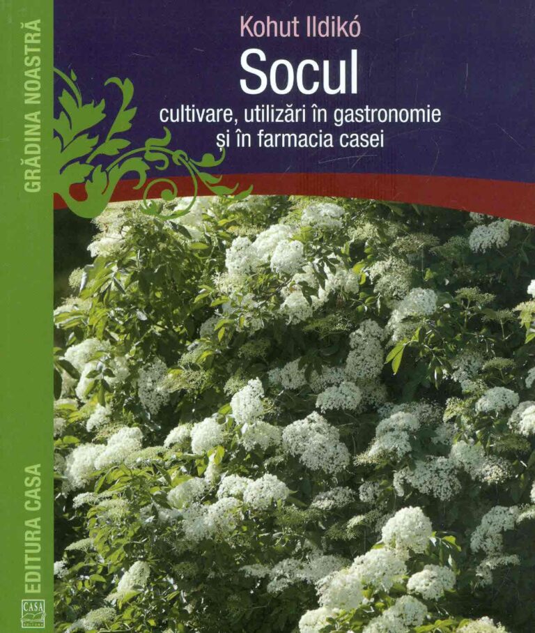 Socul. Cultivare, utilizari in gastronomie si in farmacia casei