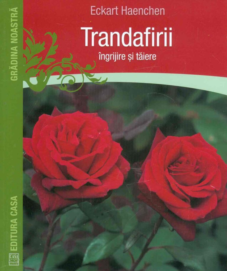 Trandafirii: ingrijire si taiere