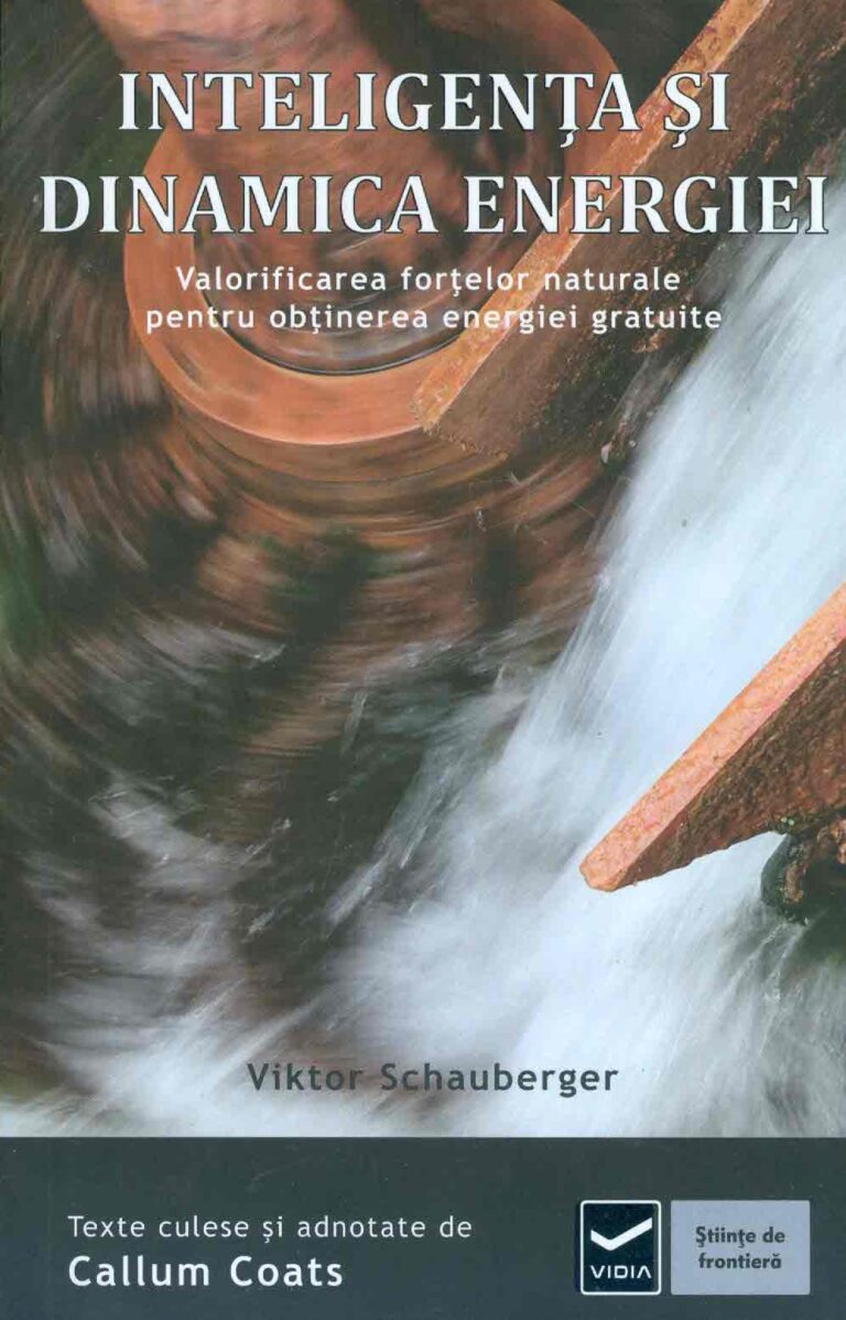 Inteligenta si dinamica energiei