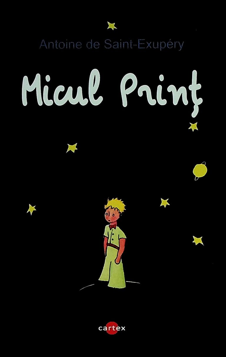 Micul print