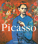 Picasso