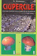 Cultura ciupercilor
