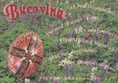 Bucovina. Oua incondeiate. Editie plurilingva