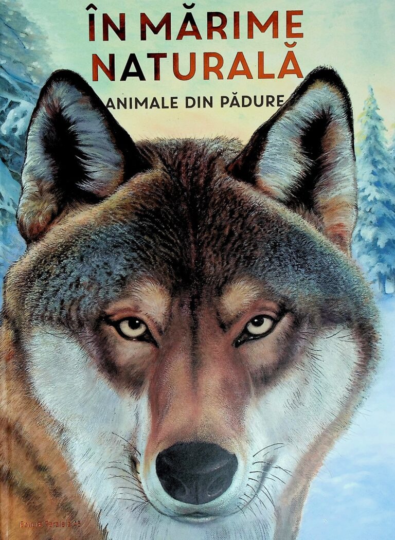 In marime naturala. Animale din padure